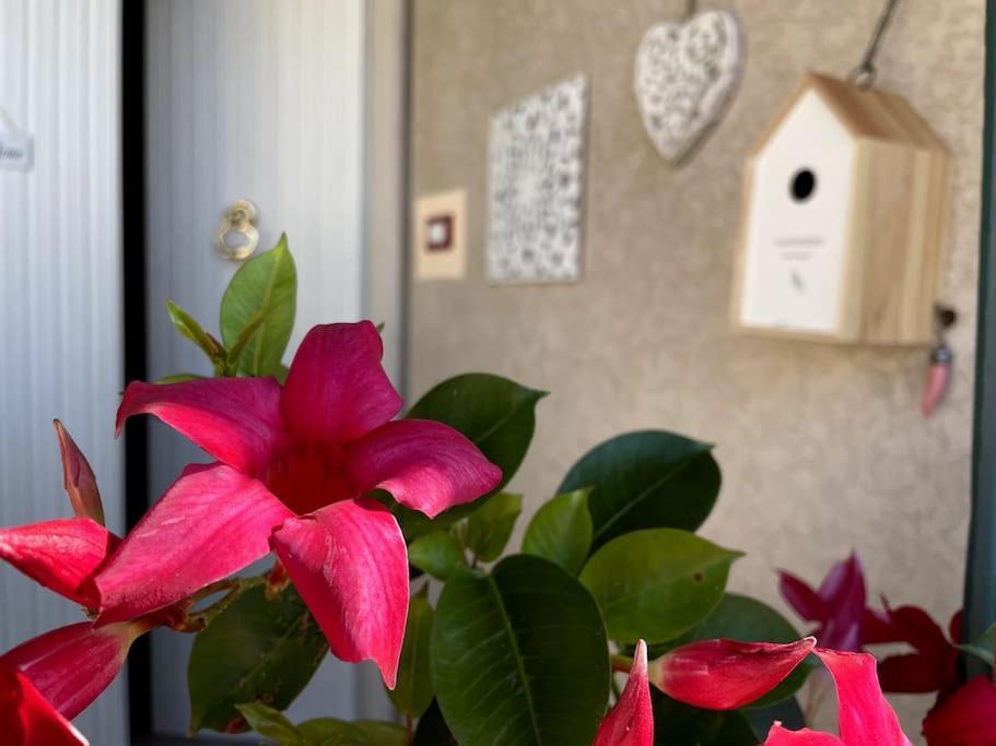 Annali Casa Vacanze - Shabby Style Nella Natura La Spezia Eksteriør billede