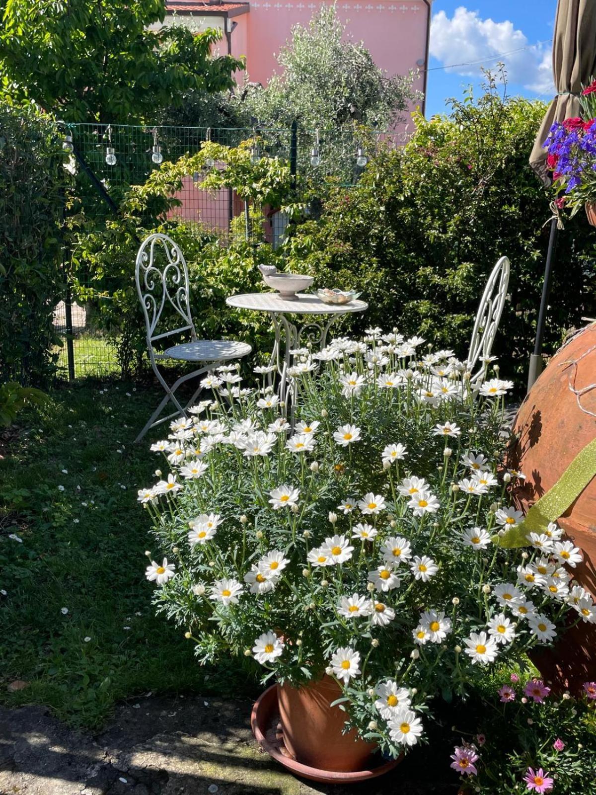 Annali Casa Vacanze - Shabby Style Nella Natura La Spezia Eksteriør billede